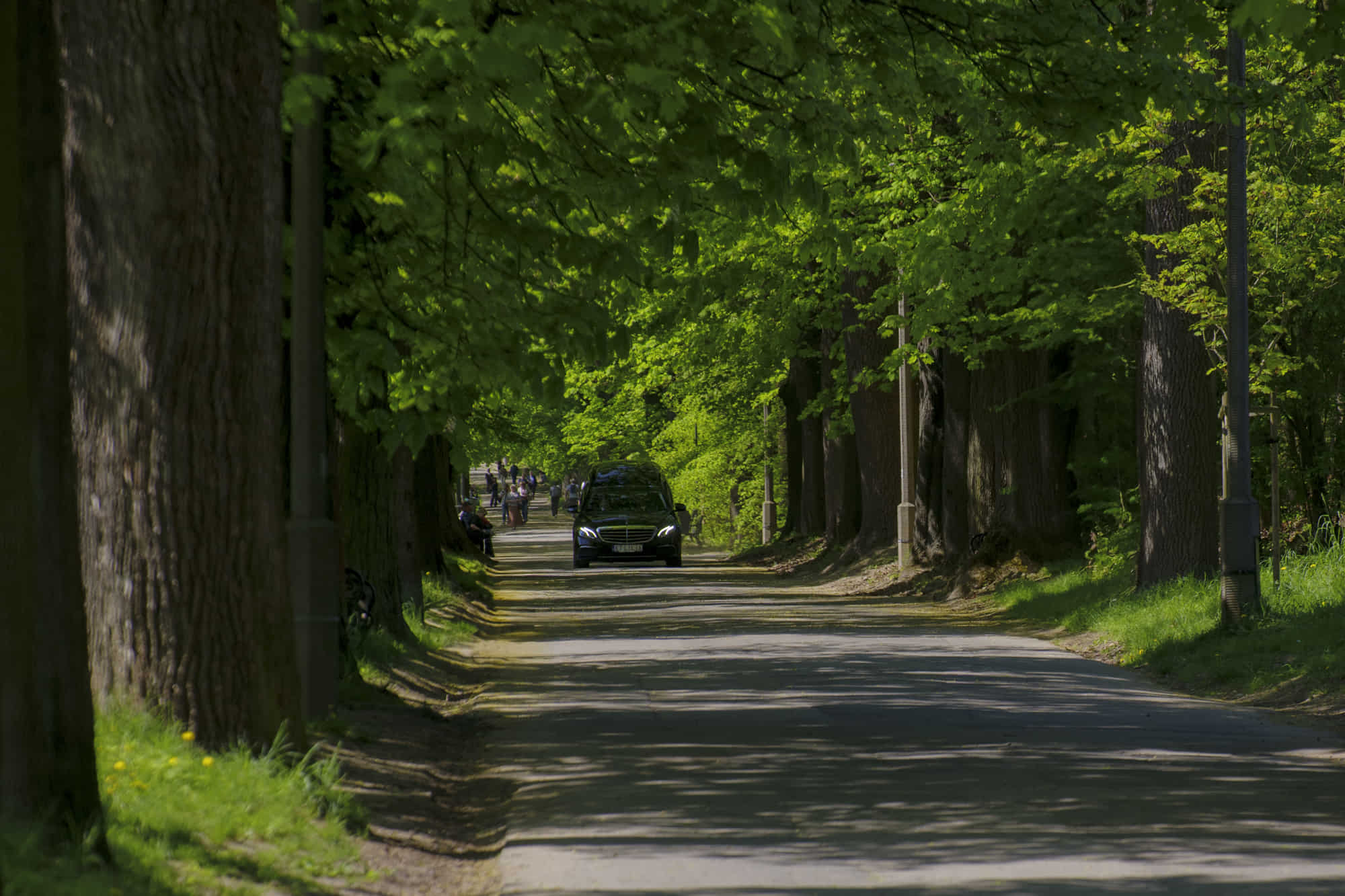 A cemetery avenue with a Lilia hearse in the distance